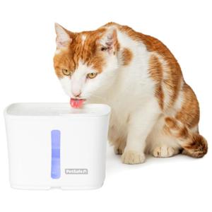 Petsafe Viva Pet Fountain For Cats & Small Dogs - 1.8L - 64 oz, Indoor Cat Water Fountain With Whisper Quiet Pump, Dishwasher Safe, Easy To Clean, Water Filters Included