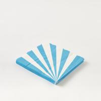 Findz Striped Paper Napkin Set