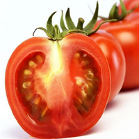 50Pcs Tomato Seeds Green Plants Vegetables Seeds