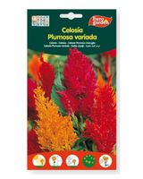 Euro Garden Celosia Seeds