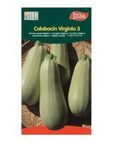 Euro Garden Summer Squash Virginia - thumbnail