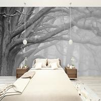 Cool Wallpapers Forest Black and White Wallpaper Wall Mural Wall Sticker Covering Print Peel and Stick Removable Self Adhesive Secret Forest PVC / Vinyl Home Decor Lightinthebox - thumbnail