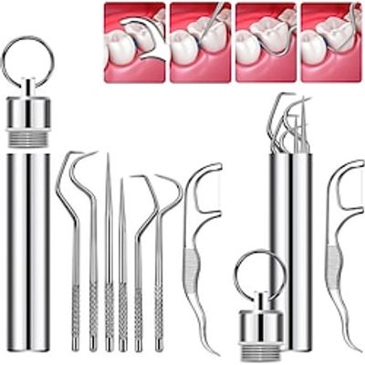 Portable Stainless Steel Toothpicks Pocket Set Reusable Metal Toothpicks Cleaning Kit with Holder for Outdoor Picnic Camping Traveling Lightinthebox Portable Stainless Steel Toothpicks Pocket Set Reusable Metal Toothpicks Cleaning Kit with Holder for Outdoor Picnic Camping Traveling Lightinthebox