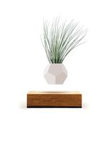 Lyfe Planter Lyfe Planter