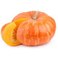 Fit Fresh Baby Pumpkin