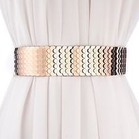 Knit  Metalic Party  Evening  Dailywear  Causal Sash With Belt Women's Sashes Lightinthebox - thumbnail