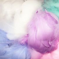 Color Feather Diy Jewelry Material Drifting Goose Feather Dream Catching Net Wave Ball Gift Box Filler BeatPhotography Props Lightinthebox - thumbnail