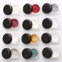 DANCINGNAIL Mirror Chrome Effect Nail Art Powder 12 Colors Kit Metallic Silver Pigment