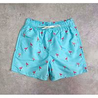 Men's Casual / Sporty Outdoor 5.5 Inch Inseam Short Sports Daily Beach Shorts Pants Flamingo Short Drawstring Elastic Drawstring Design Blue miniinthebox - thumbnail