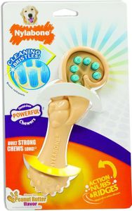 Nylabone Dental Chew Squirrel Bristle Brush Large