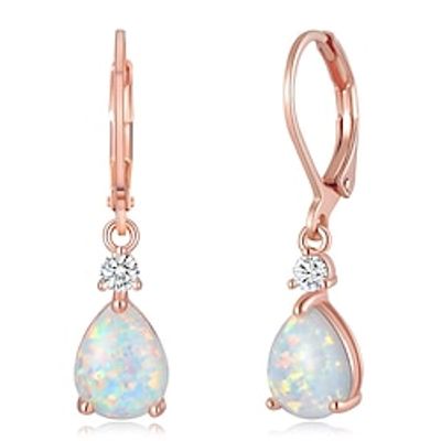 Women's Drop Earrings Fine Jewelry Classic Drop Elegant Stylish Earrings Jewelry Rose Gold  White  Pink For Gift Festival 1 Pair Lightinthebox