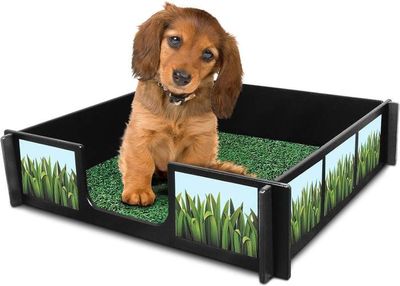 Drymate Potty Rink 64 X 64 Inches Potty Rink With Accessories And A Free Mat