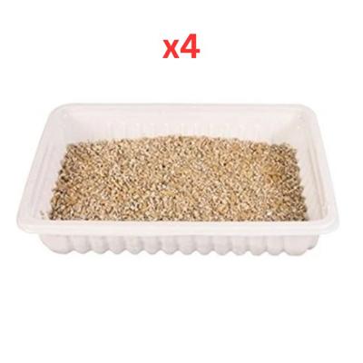 Trixie Soft Cat Grass Refill Tray for Cats 100G (Pack of 4)