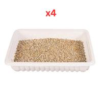 Trixie Soft Cat Grass Refill Tray for Cats 100G (Pack of 4)