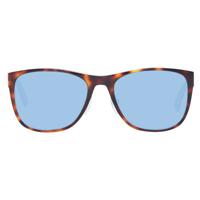 Adidas Brown Men Sunglasses (AD-1046805)