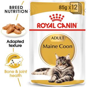 Royal Canin Feline Breed Nutrition Maine Coon (Wet Food - Pouches)