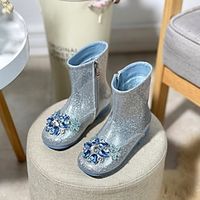 Girls' Boots Dress Shoes Combat Boots Princess Shoes School Shoes Leather Portable Breathability Non-slipping Princess Shoes Big Kids(7years ) Little Kids(4-7ys) Daily Theme Party Walking Bowknot Lightinthebox - thumbnail