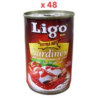 Ligo Sardines In Tomato Sauce With Chili  Extra Hot 155G  Pack of 48
