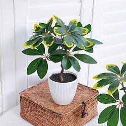 Add Natural Charm to Your Home Decor with Lifelike Ficus Leaf Potted Plants, Perfect for Creating a Serene and Tranquil Atmosphere Lightinthebox