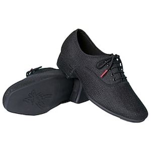 Men's Latin Shoes Ballroom Shoes Practice Trainning Dance Shoes Professional Outdoor Ballroom Dance Flat Mesh Flat Heel Lace-up Black miniinthebox