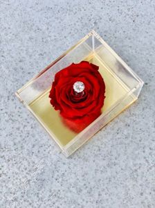 Flora Riche- Single Rose In Acrylic Box