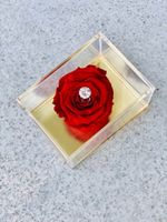 Flora Riche- Single Rose In Acrylic Box - thumbnail