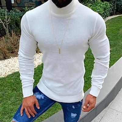 Men's Pullover Sweater Jumper Turtleneck Sweater Knit Sweater Ribbed Cable Knit Regular Knitted Plain Roll Neck Keep Warm Modern Contemporary Casual Daily Wear Clothing Apparel Fall Winter White S M L Lightinthebox