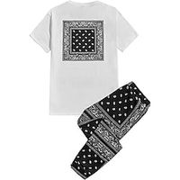 Men's T-shirt Suits Graphic Bohemian Crew Neck Clothing Apparel 3D Print Outdoor Casual Short Sleeve 3D Print 2 Piece 2pcs Designer Lightweight Comfortable Lightinthebox - thumbnail
