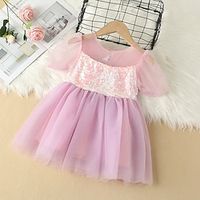 Kids Girls' Dress Sequin Summer Dress Knee-length Dress Party Mesh Crew Neck Short Sleeve Cute Dress 7-13 Years Summer Purple Lightinthebox - thumbnail