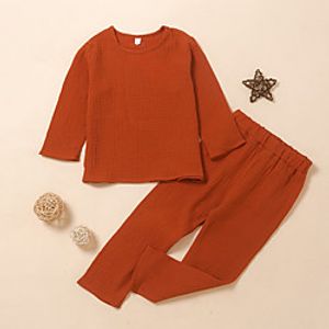 Kids Girls' T-shirt  Shorts Clothing Set 2 Pieces Long Sleeve Brown Solid Colored Print Basic Regular 2-6 Years Lightinthebox