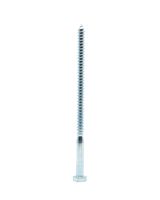 Homesmiths Coach Screw 5/16 X 6 inch