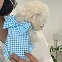 Dog Clothes Summer Thin Two legged Clothing Small Dog Teddy Corky Cat Kitty Baby Cat Summer Thin Anti Hair and Breathable Lightinthebox - thumbnail