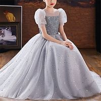 Kids Toddler Little Girls' Dress Plain Sequin Swing Dress Wedding Special Occasion Sequins Ruched Mesh Gray Maxi Short Sleeve Princess Cute Dresses Spring Summer Slim 1 PC 4-13 Years Lightinthebox - thumbnail