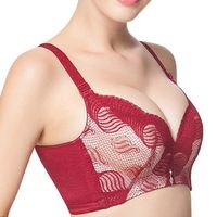 Wireless Embroidery Breathable Adjustable Bras