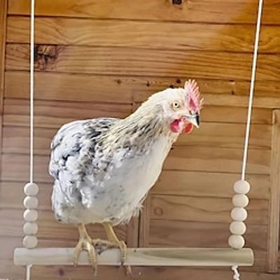 Premium Chicken Swing Toy - Durable Wood Stand for Climbing, Swinging, and Training Hens and Birds Lightinthebox