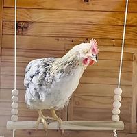 Premium Chicken Swing Toy - Durable Wood Stand for Climbing, Swinging, and Training Hens and Birds Lightinthebox - thumbnail