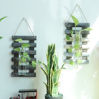 Wall Hanging Glass Vase Hydroponic