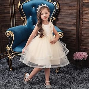 Kids Girls' Dress Solid Colored Skater Dress Knee-length Dress Party Embroidered Sleeveless Cute Dress Spring Blue Purple Dusty Rose Lightinthebox