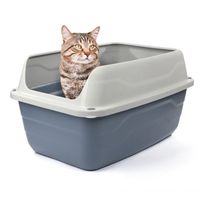 Georplast Colosseo High Edge Cat Litter Tray - (Pack Of 2)
