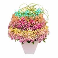 Astonishing Rainbow Flower Bouquet (Dubai Delivery)