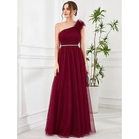 A-Line Prom Dresses Vintage Dress Wedding Party Floor Length Sleeveless One Shoulder Tulle with Appliques 2023 miniinthebox - thumbnail