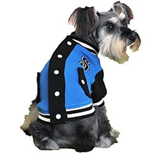 Cat Dog Sweater Sweatshirt Winter Dog Clothes Yellow Red Blue Costume Cotton Color Block Sports XS S M L XL miniinthebox