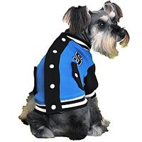 Cat Dog Sweater Sweatshirt Winter Dog Clothes Yellow Red Blue Costume Cotton Color Block Sports XS S M L XL miniinthebox - thumbnail