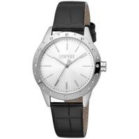 Esprit Silver Women Watch (ES-1042714)