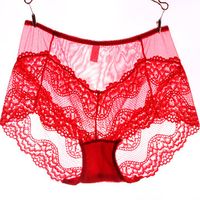 Lace Breathable Hollow Panties