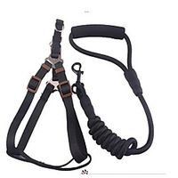 Dog Pets Training Leash Portable Retractable Nylon Black Purple Red 2pcs miniinthebox - thumbnail