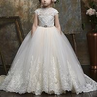 Princess Sweep  Brush Train Flower Girl Dresses Party Polyester  Cotton Blend Cap Sleeve Jewel Neck with Appliques 2022 Lightinthebox - thumbnail