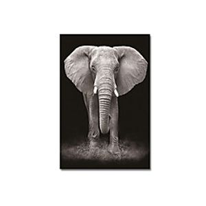 Wall Art Canvas Prints Painting Artwork Picture Animal Giraffe Home Decoration Decor Rolled Canvas No Frame Unframed Unstretched Lightinthebox