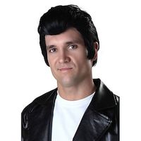 Fun Costumes Adult Grease Danny Zuko Wig Danny Wig from Grease Lightinthebox - thumbnail
