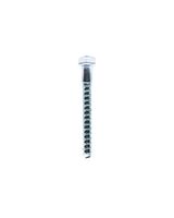 Homesmiths Coach Screw 3/8 X 3"